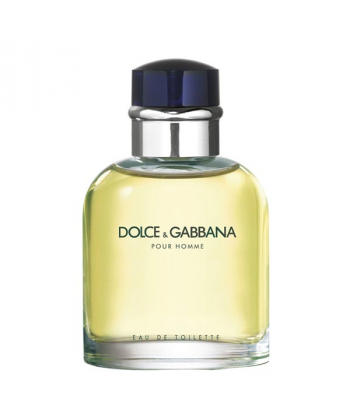 ادوپرفیوم مردانه دولچه اند گابانا Dolce & Gabbana مدل Pour Homme حجم 100 میلی لیتر