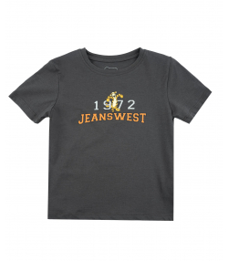 تیشرت پسرانه جین وست Jeanswest کد 31073116