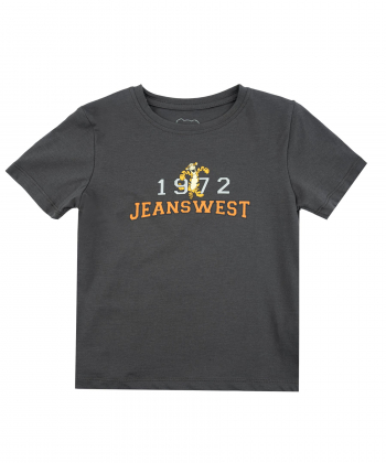 تیشرت پسرانه جین وست Jeanswest کد 31073116