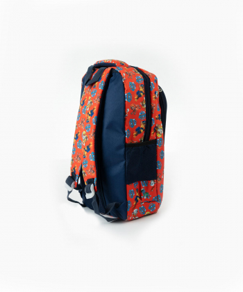 کوله پشتی  بیسراک Bisrak کد Backpack-9906