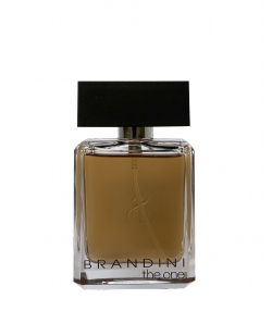 عطر جیبی مردانه برندینی Brandini مدل The One For Men حجم 33 میلی لیتر