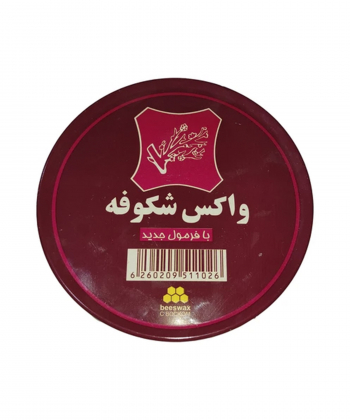 واکس برند پی لس Brand Payless کد M1033