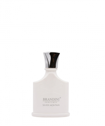 عطر جیبی مردانه برندینی Brandini مدل Silver Montain حجم 25 میلی لیتر