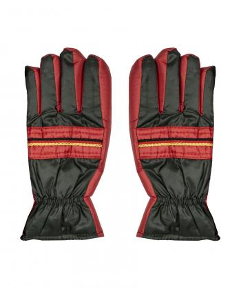 دستکش مردانه بیسراک Bisrak مدل Gloves-3895