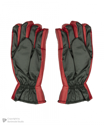 دستکش مردانه بیسراک Bisrak مدل Gloves-3895