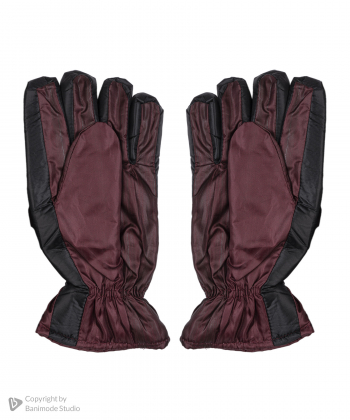 دستکش مردانه بیسراک Bisrak مدل Gloves-3895