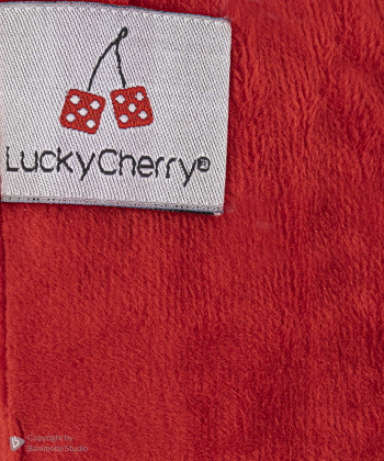 بالشتک هسته آلبالو و گیلاس لاکی چری Lucky Cherry کد 3725