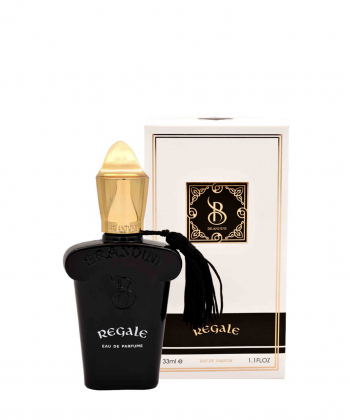 عطر جیبی برندینی Brandini مدل Regale حجم 33 میلی لیتر