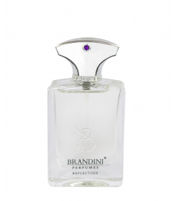 عطر جیبی مردانه برندینی Brandini مدل Reflection حجم 33 میلی لیتر