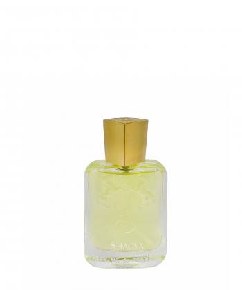 عطر جیبی مردانه برندینی Brandini مدلMarly -Shagya