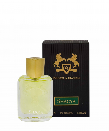 عطر جیبی مردانه برندینی Brandini مدلMarly -Shagya