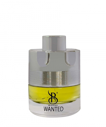 عطر جیبی مردانه برندینی Brandini مدل Wanted حجم 25 میلی لیتر