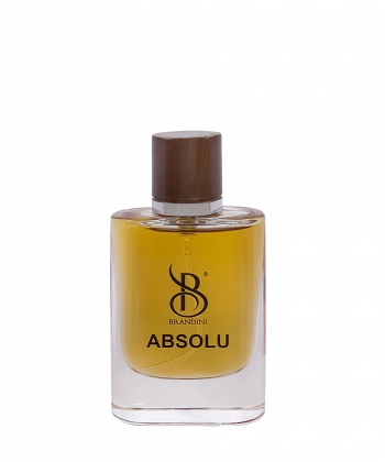 عطر جیبی مردانه برندینی Brandini مدل Absolu حجم 25 میلی لیتر